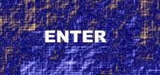 web designer schule