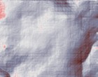 webdesign bilder