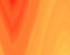 flash web design