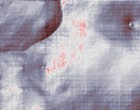 praktikum webdesign