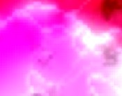 web designer freeware
