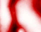 web designer schmied