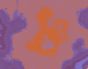 webdesign dren