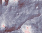 px webdesign